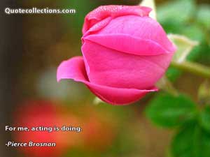 pierce_brosnan_quotes Quotes 1